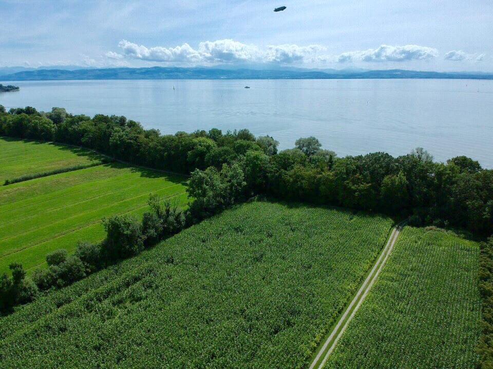 Wohlfuehlloft Seekretzer Mit Privatem Seezugang Friedrichshafen Luaran gambar